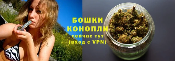 тгк Вяземский
