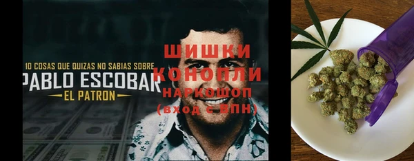 тгк Вяземский
