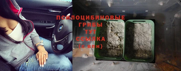 тгк Вяземский