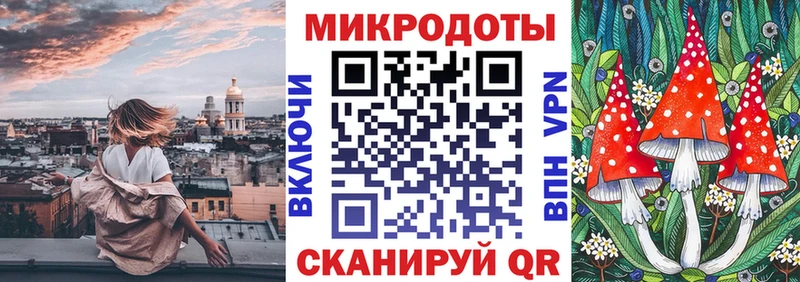 закладка Кыштым Псилоцибиновые грибы Psilocybe